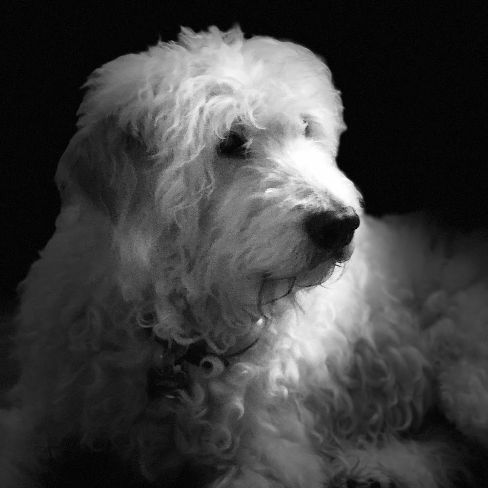 Meet your Posher, Audge